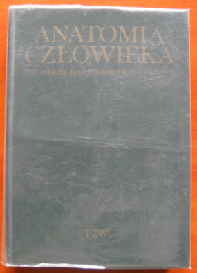 Anatomia czowieka. Podrcznik dla studentw medycyny - Sokoowska-Pituchowa Janina Red., Sylwanowicz Witold